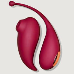 Inspiration: Succionador de clítoris + Huevo vibrador