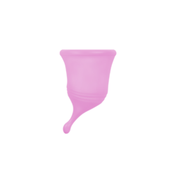 COPA MENSTRUAL NEW EVE